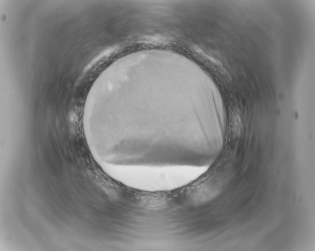 X0000085251254200704092040