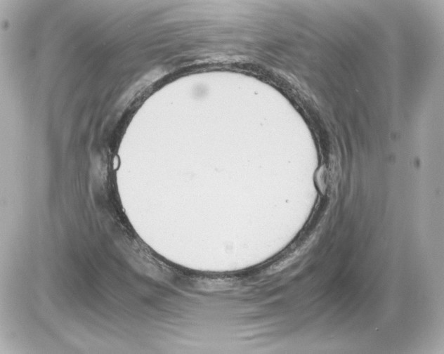 X0000085251257200704092040