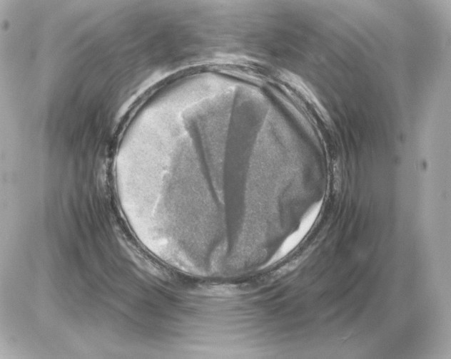 X0000085251260200704092040