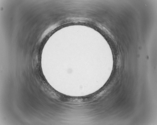 X0000085251261200704092040