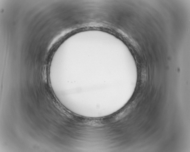 X0000085251262200704092040