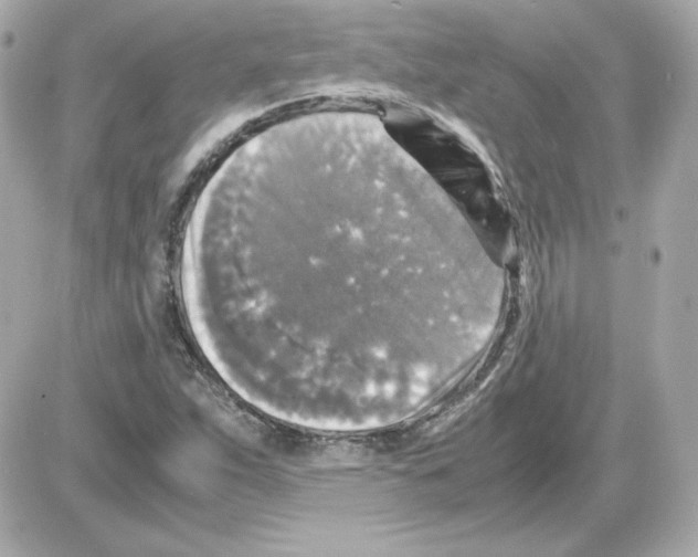 X0000085251263200704092040