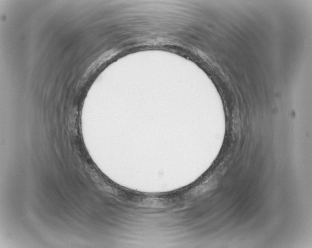 X0000085251265200704092040