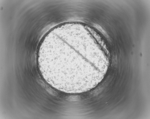 X0000085251268200704092040