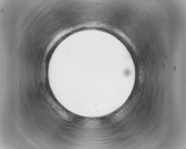 X0000085251270200704092040