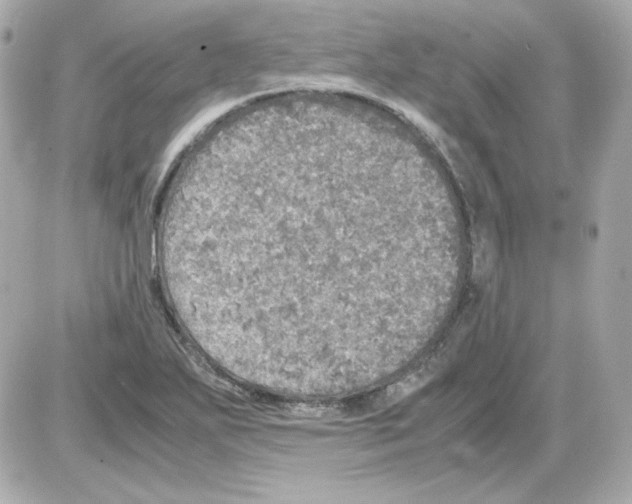 X0000085251271200704092039