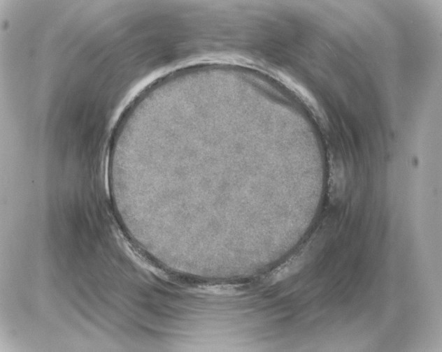 X0000085251272200704092039