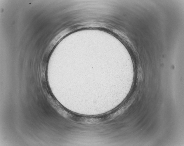 X0000085251273200704092039