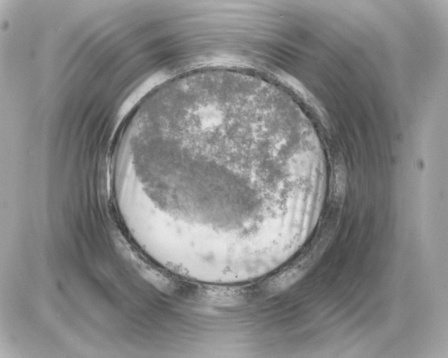 X0000085251274200704092039