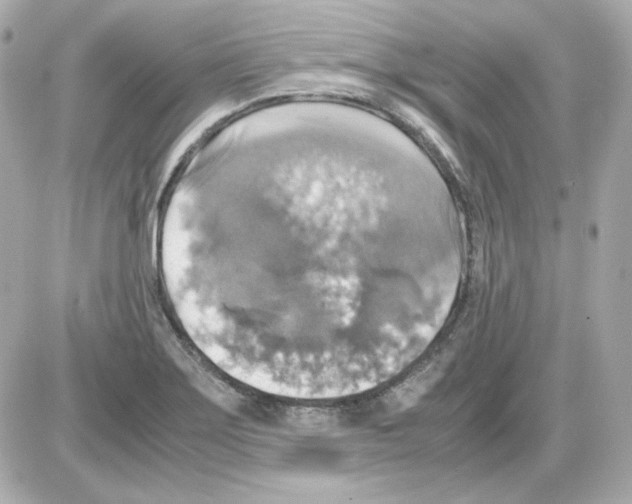 X0000085251275200704092039