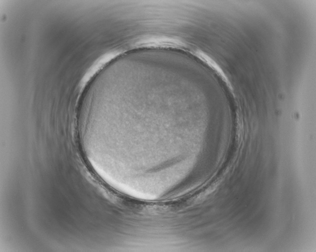 X0000085251277200704092039