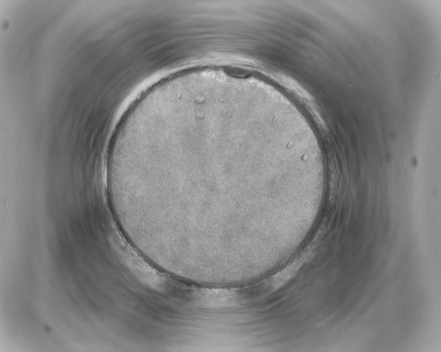 X0000085251280200704092039