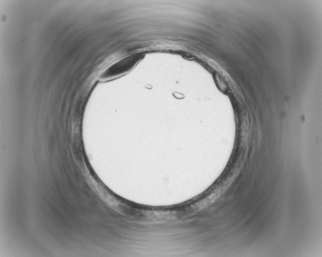 X0000085251281200704092039