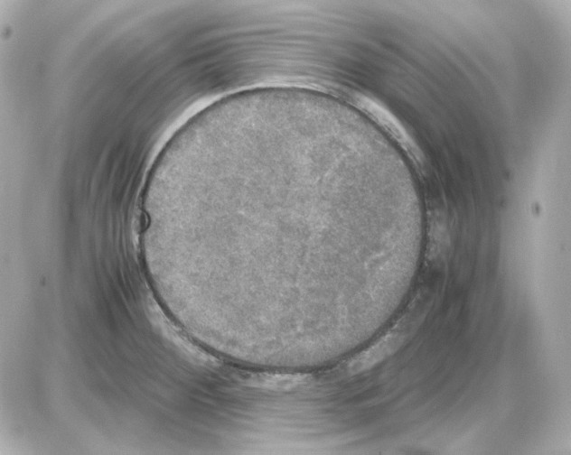 X0000085251284200704092039