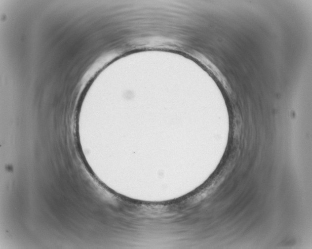 X0000085251285200704092039