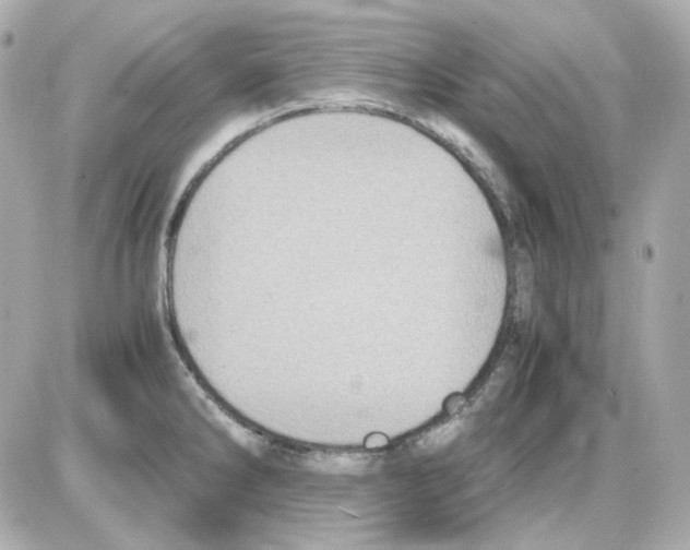 X0000085251286200704092039