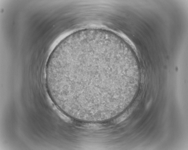 X0000085251287200704092039