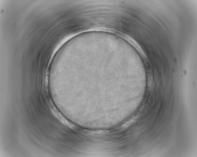 X0000085251292200704092039