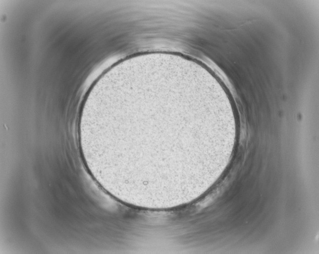 X0000085251293200704092039