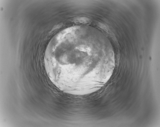 X0000085251297200704092038