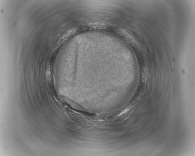 X0000085251298200704092038