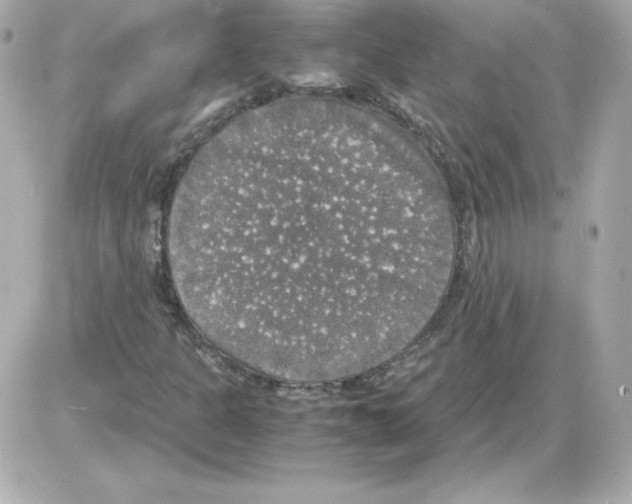 X0000085251301200704092038