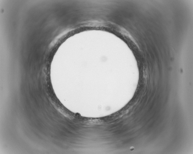 X0000085251304200704092038