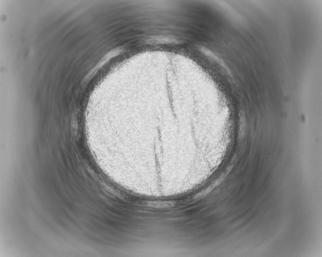 X0000085251305200704092038