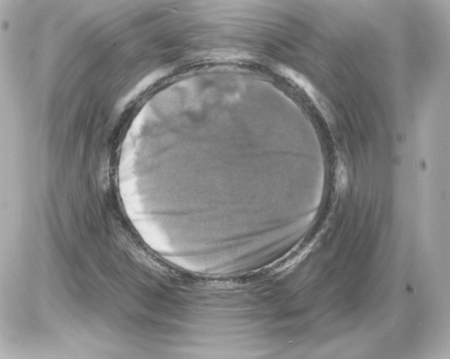 X0000085251306200704092038