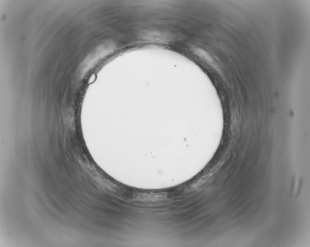 X0000085251307200704092038