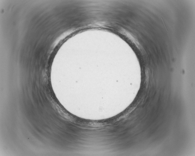 X0000085251308200704092038