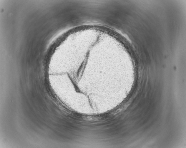 X0000085251311200704092039