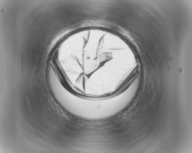 X0000085251312200704092039