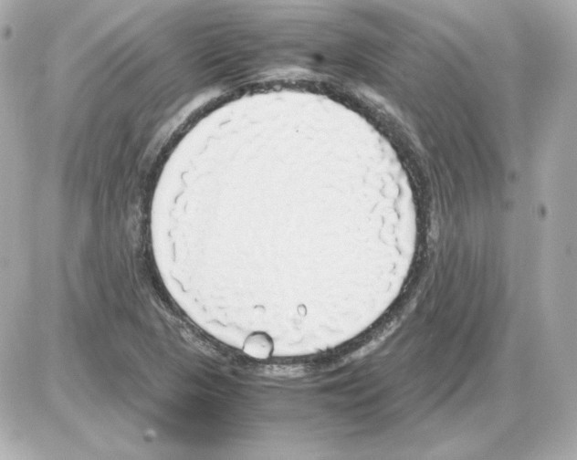 X0000085251313200704092039