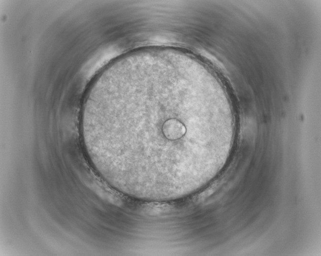 X0000085251314200704092039