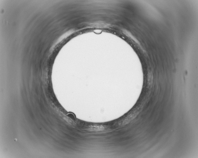 X0000085251315200704092039