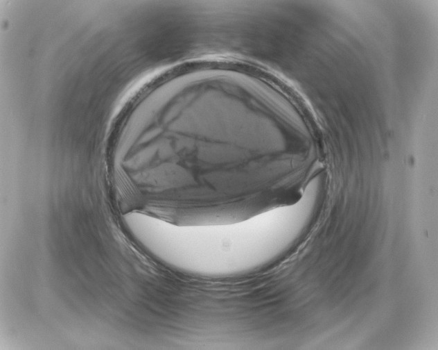 X0000085251319200704092039