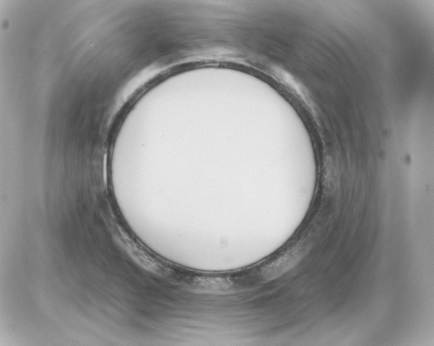 X0000085251320200704092039