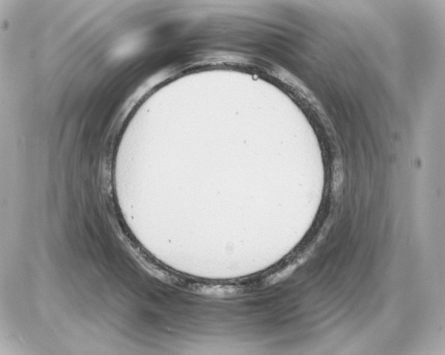 X0000085251321200704092039