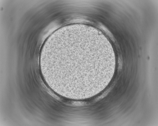 X0000085251322200704092039