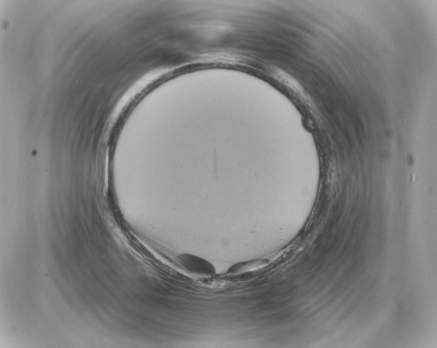 X0000085251323200704092039