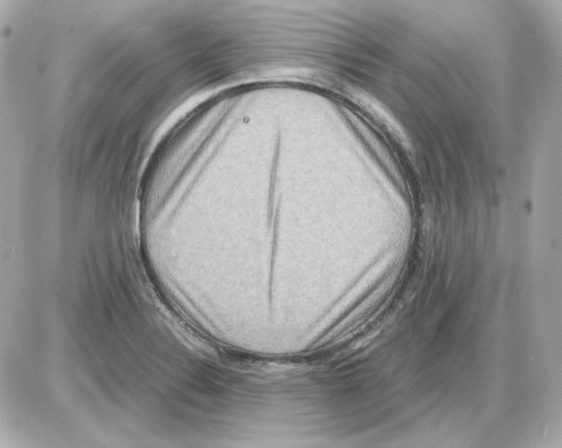 X0000085251324200704092039