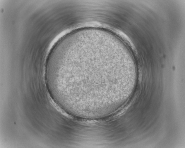 X0000085251326200704092039