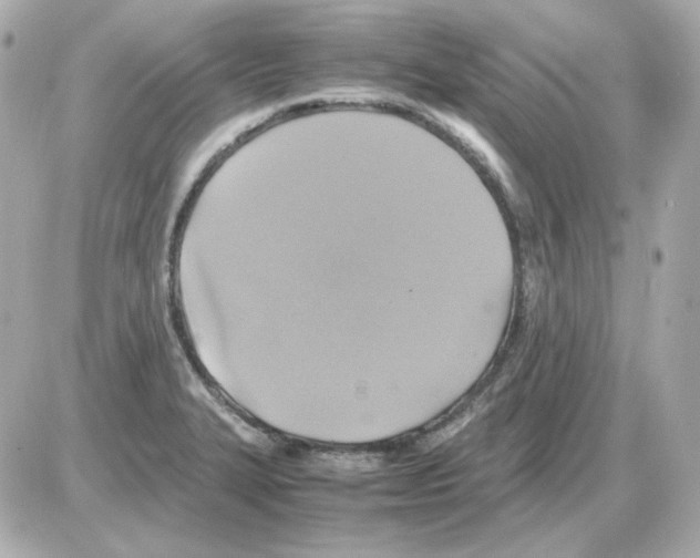 X0000085251327200704092039