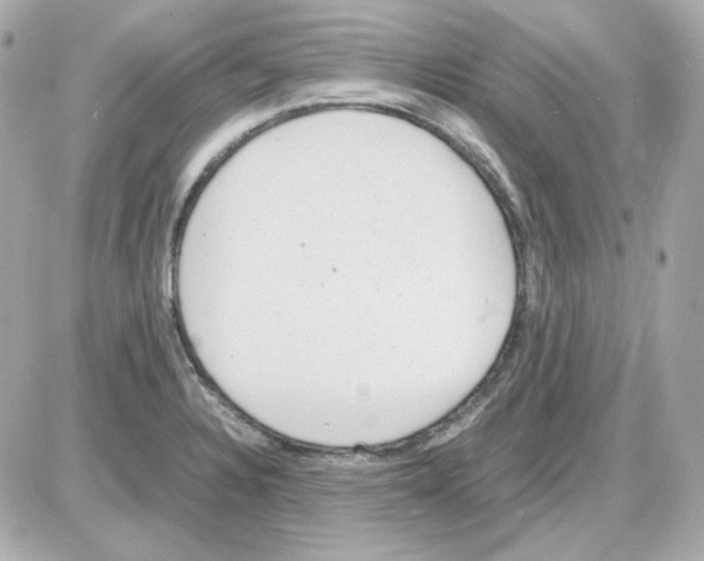 X0000085251328200704092039