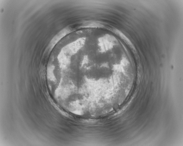 X0000085251329200704092039