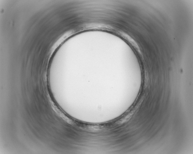 X0000085251330200704092039