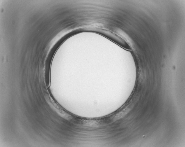 X0000085251332200704092039