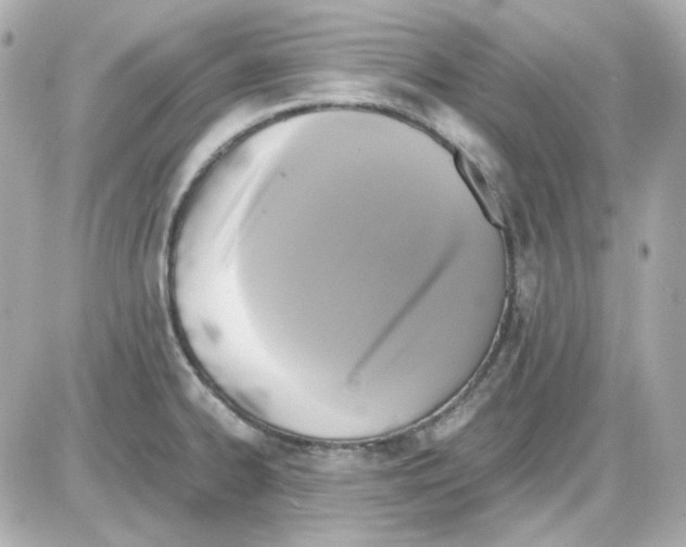 X0000085251334200704092039