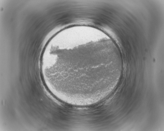 X0000085251335200704092039